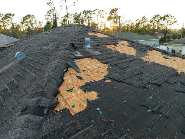 Professional Roofing Services in Lady Lake, FL